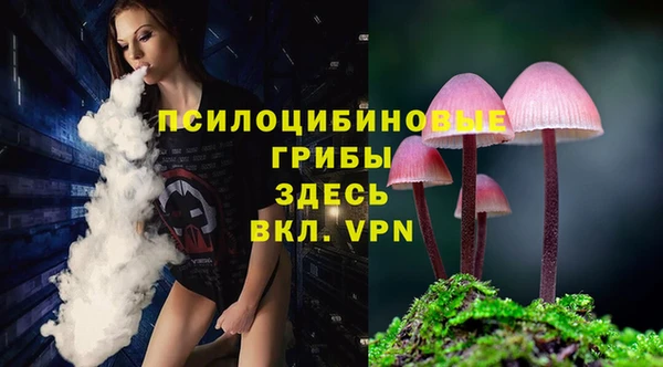 Альфа ПВП Арсеньев