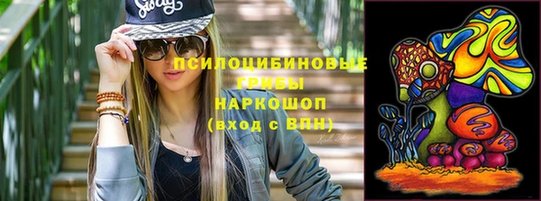 Альфа ПВП Арсеньев