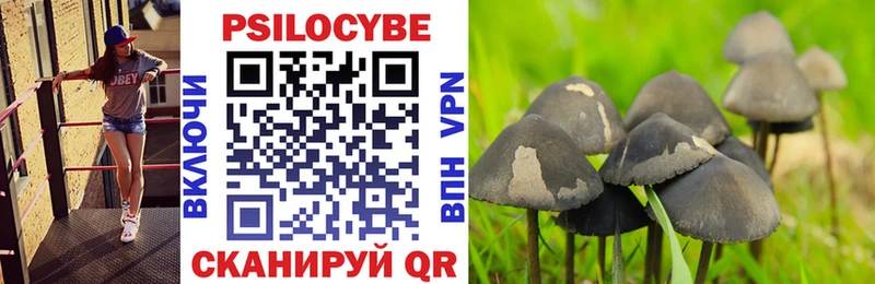 Галлюциногенные грибы Cubensis  блэк спрут зеркало  Байкальск 