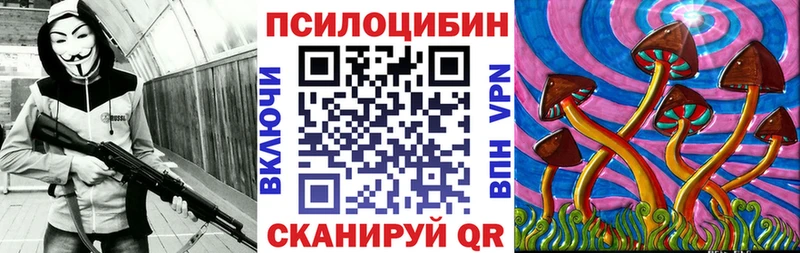 Псилоцибиновые грибы Psilocybine cubensis Байкальск